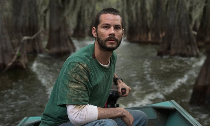 Thumbnail for ‘Caddo Lake’ Twists Mystery, Loss, and Emotion Into an Affecting Thriller