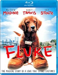 Fluke