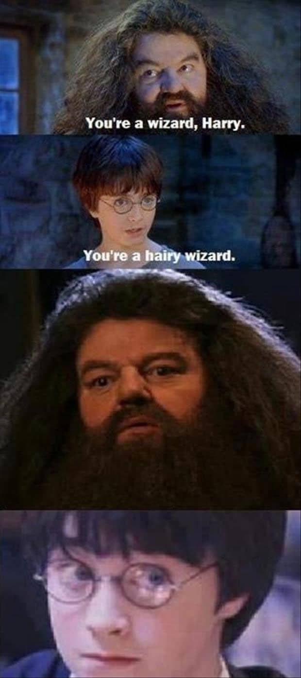 Wizard Harry